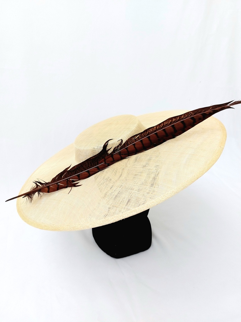 T&O CONCEPT - Chapeau naturel plume brune  - A643