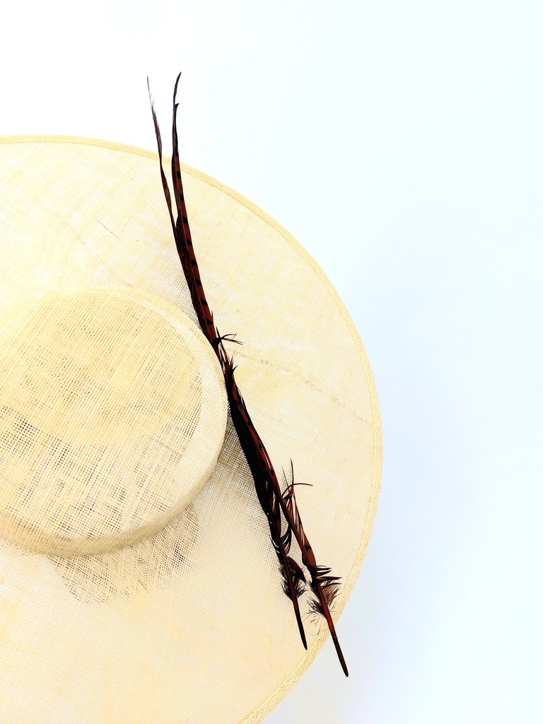 T&O CONCEPT - Chapeau naturel plume brune  - A643