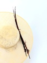 T&O CONCEPT - Chapeau naturel plume brune  - A643