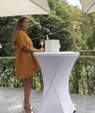 SEZANE Nicole Dress jaune moutarde - 1249