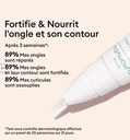 Concentré Perfecteur