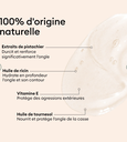 Concentré Perfecteur