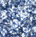 Paillettes Biodégradables Tout Schuss! - SISI LA PAILLETTE