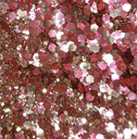 Paillettes Biodégradables Vegas Bébé - SISI LA PAILLETTE