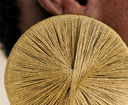 LOC - SEZANE - Bijoux - BO rond tressé doré -  A1044