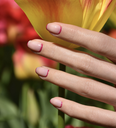 PINCEAU NAIL ART - Manucurist