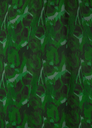 LAAGAM - Robe mi-longue verte  - C03576