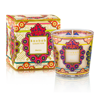 My First baobab - bougie Mexico 