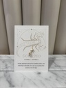 BO -  Signe Astro - Scorpion - Collection PAL     