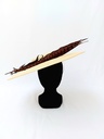 T&O CONCEPT - Chapeau naturel plume brune  - A643