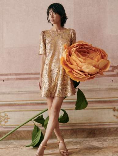 [C03060] SEZANE - Robe Mini Elaine sequins - C03060