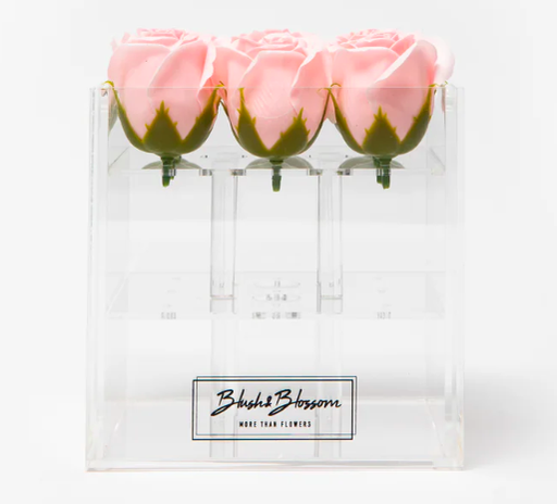 Blush&Blossom - Clear Box - 3 roses -  Blush