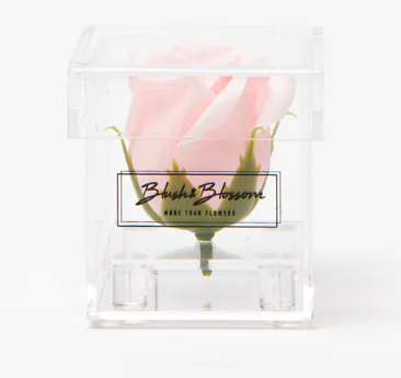 Blush&Blossom - Clear Box - 1 rose - blush