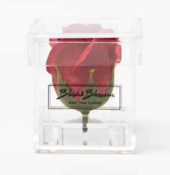 Blush&Blossom - Clear Box - 1 rose - Desire