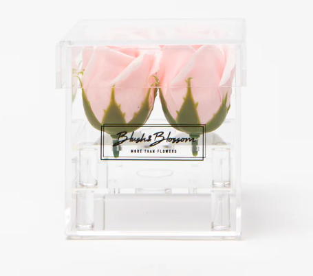 Blush&Blossom - Clear Box - 4 roses -  Blush