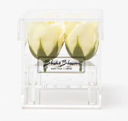 Blush&Blossom - Clear Box - 4 roses -  Crème