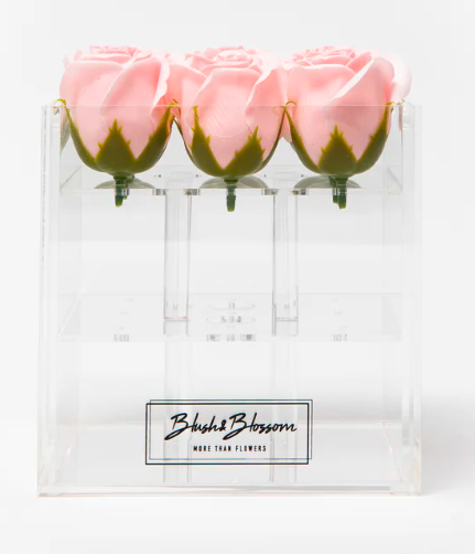 Blush&Blossom - Clear Box - 9 roses -  Blush 