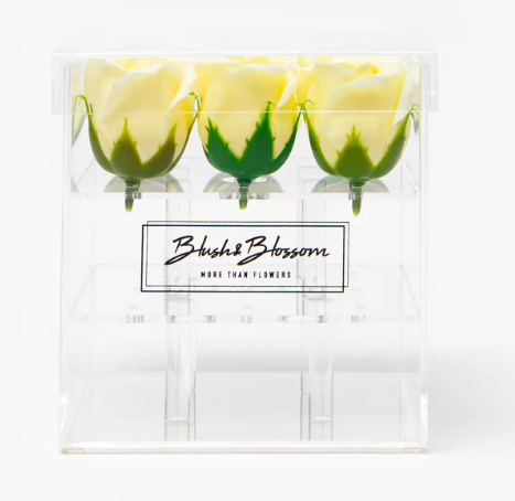 Blush&Blossom - Clear Box - 9 roses -  Crème 