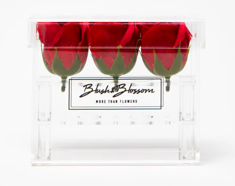 Blush&Blossom - Clear Box - 9 roses -  Desire 