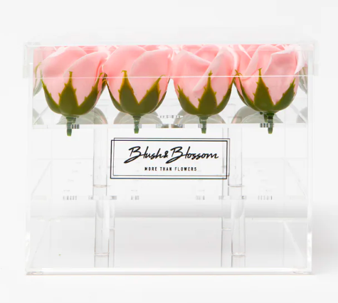 Blush&Blossom - Clear Box - 16 roses -  Blush  
