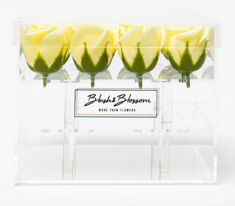 Blush&Blossom - Clear Box - 16 roses -  Crème  