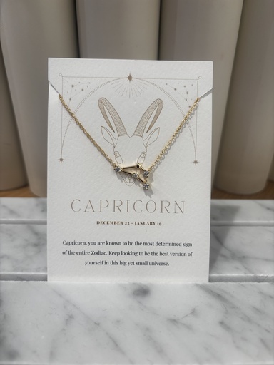 Collier Capricorne -  Signe Astro - Collection PAL